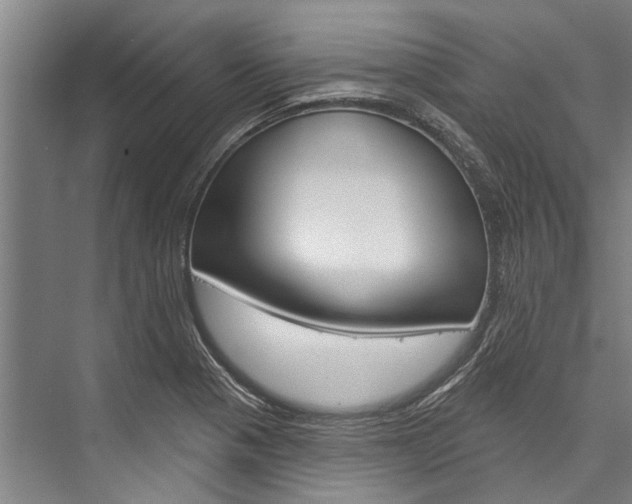 X0000076441321200610061015