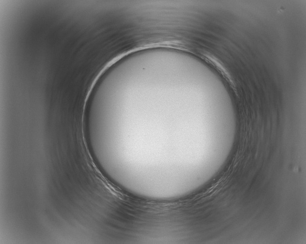 X0000076441324200610061015
