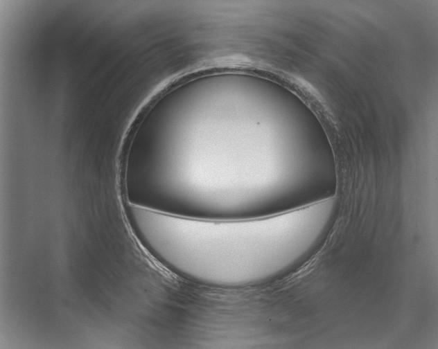 X0000076441326200610061015