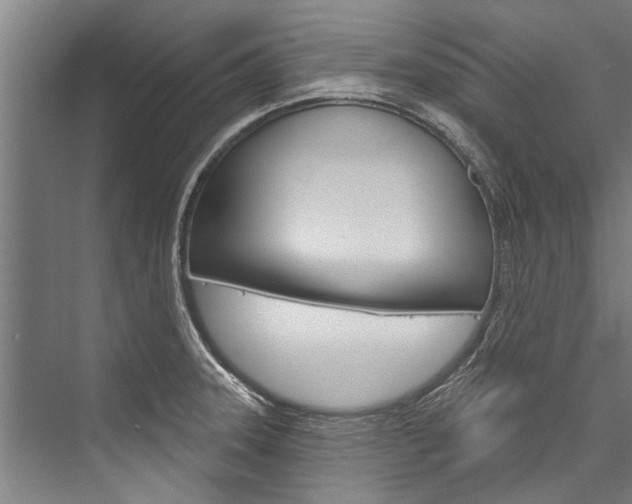 X0000076441331200610061015