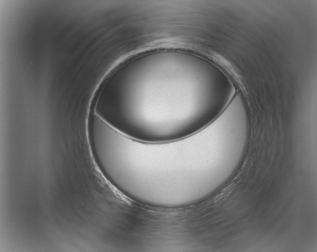 X0000076441334200610061015
