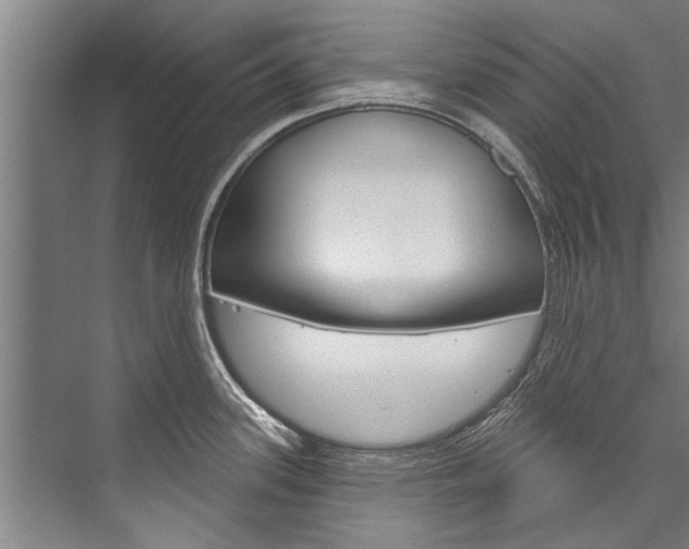 X0000076441339200610061015