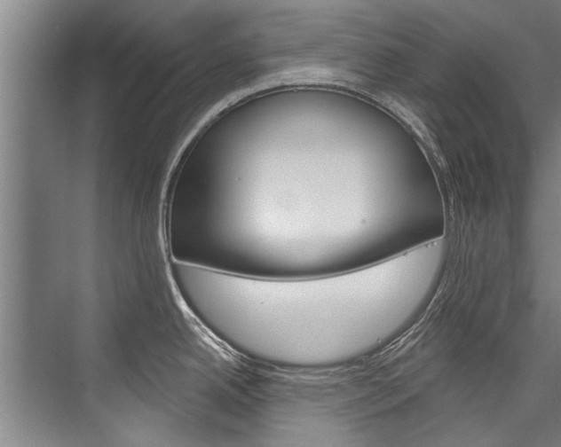X0000076441342200610061015