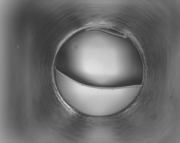 X0000076441344200610061015