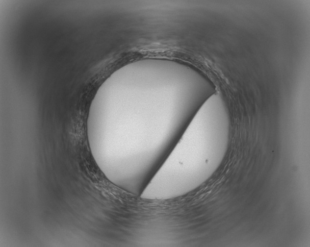 X0000076441350200610061014