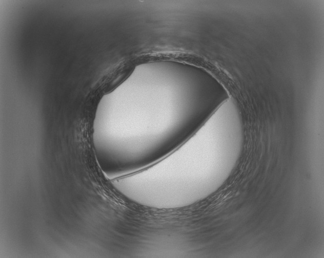 X0000076441351200610061014