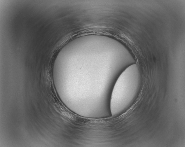 X0000076441354200610061014