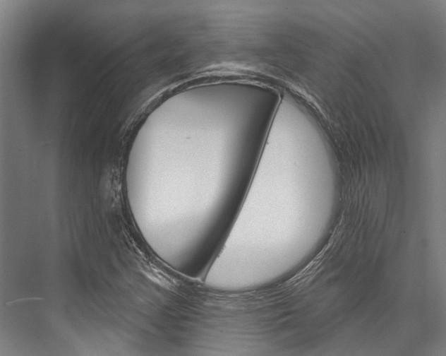 X0000076441355200610061014
