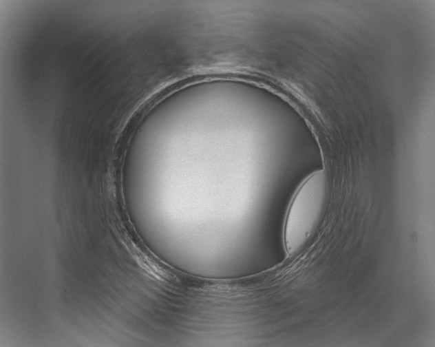 X0000076441356200610061014