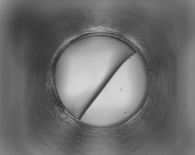 X0000076441358200610061014