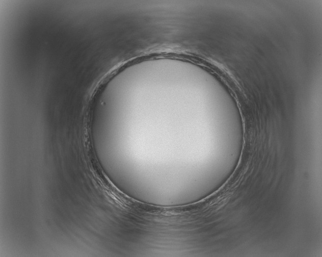 X0000076441359200610061014