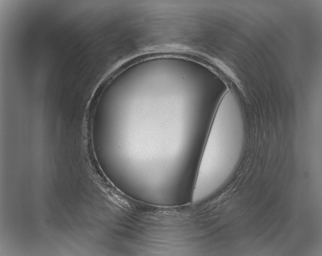 X0000076441364200610061014
