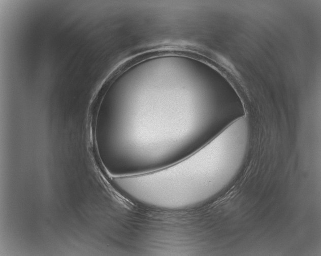 X0000076441368200610061014