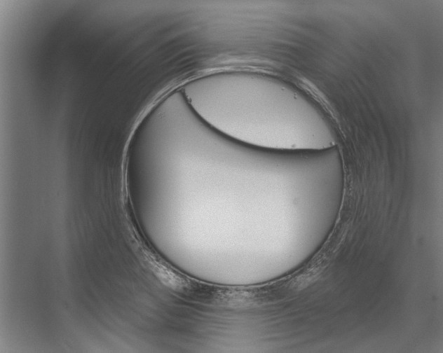X0000076441370200610061014