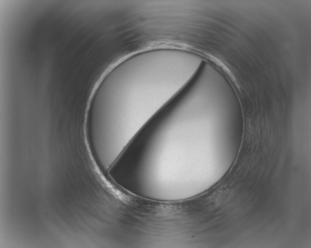 X0000076441379200610061014
