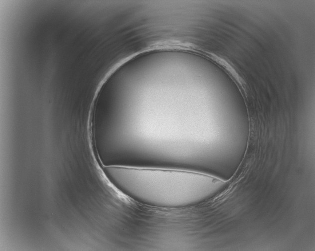 X0000076441387200610061014