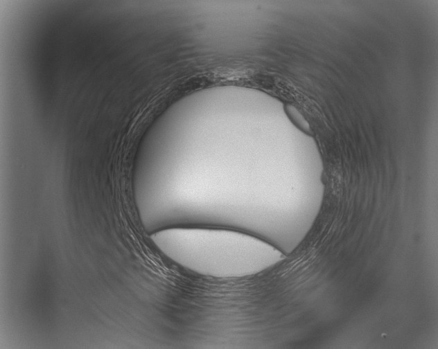 X0000076441393200610061013