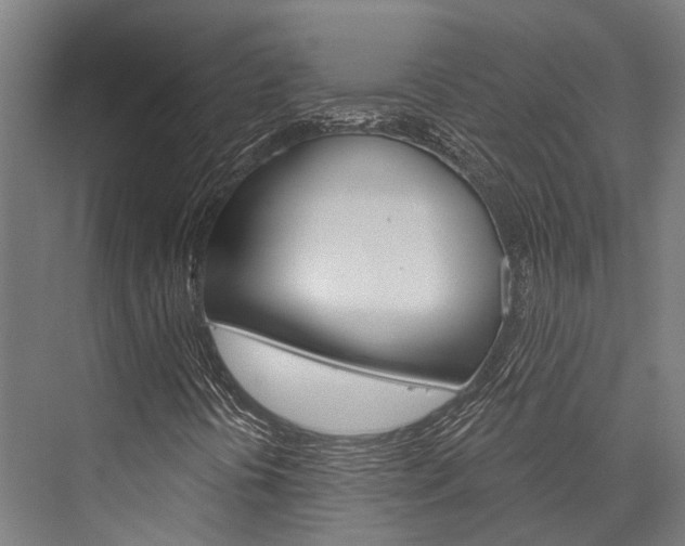 X0000076441394200610061013