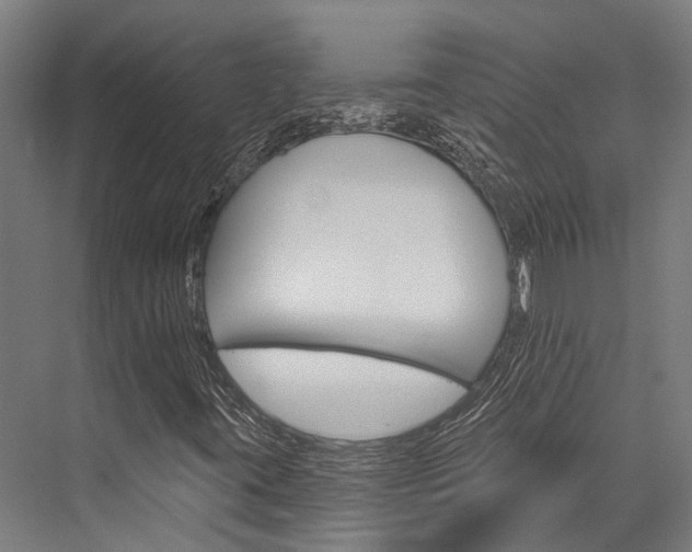 X0000076441395200610061013
