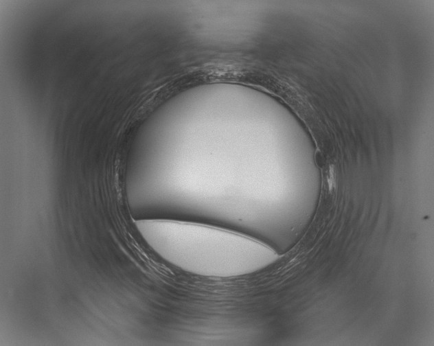 X0000076441396200610061013