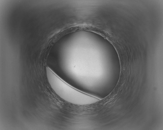 X0000076441398200610061013