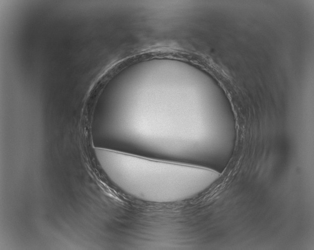 X0000076441400200610061013