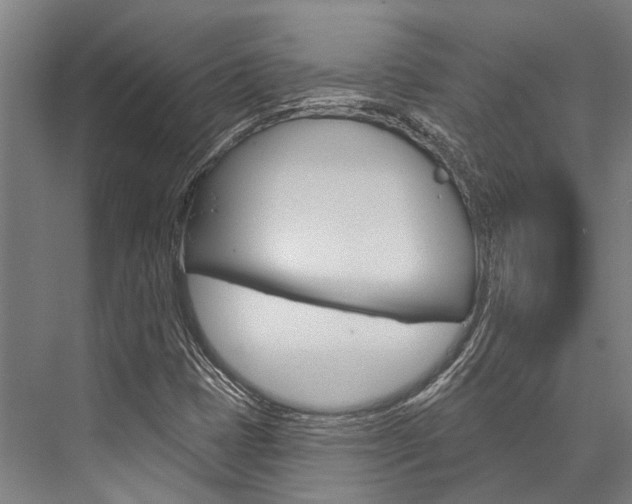X0000076441401200610061013