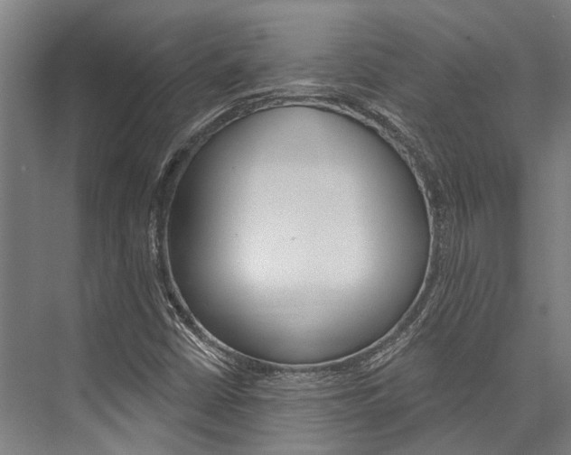 X0000076441402200610061013