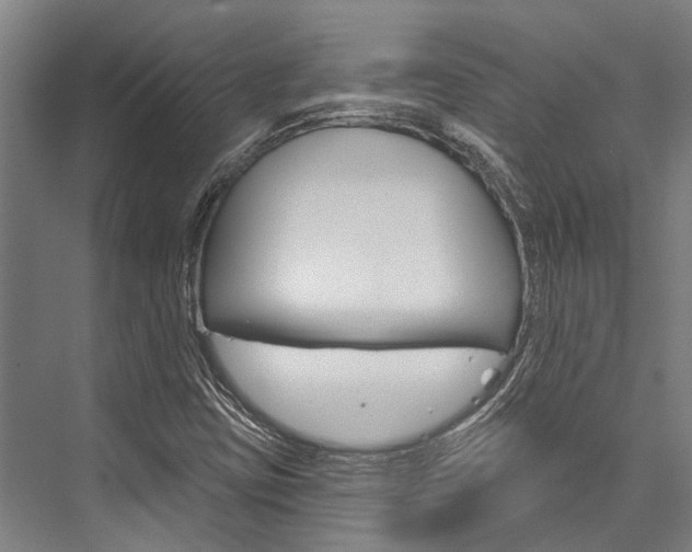 X0000076441403200610061013
