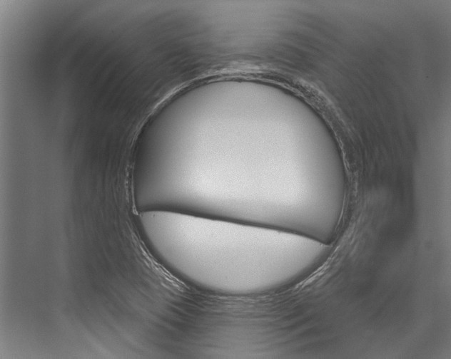 X0000076441409200610061013