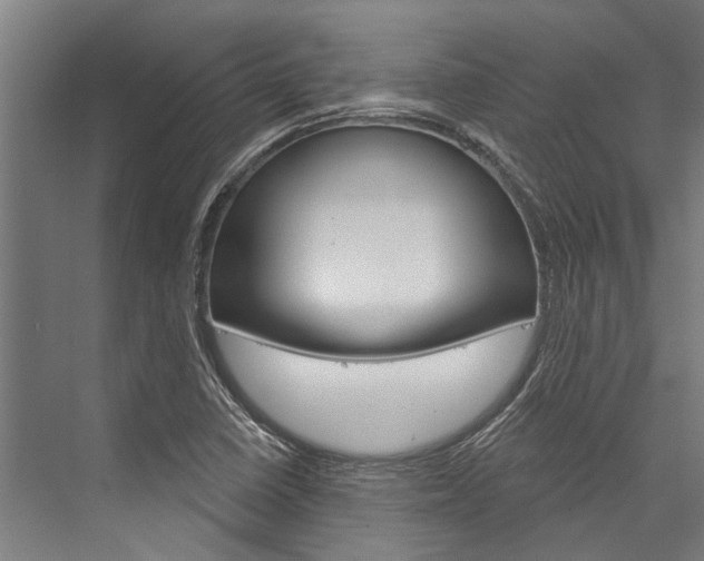 X0000076441410200610061013