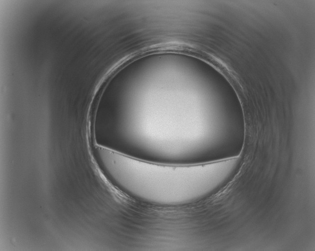 X0000076441418200610061013