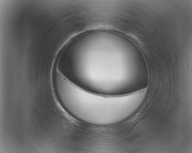X0000076441422200610061013