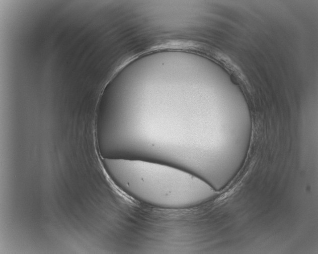 X0000076441425200610061013