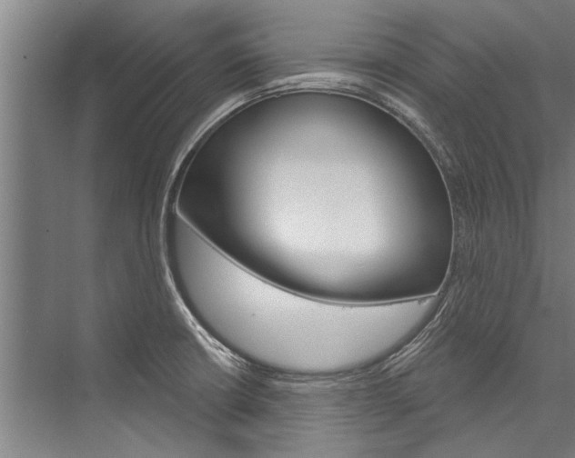 X0000076441426200610061013