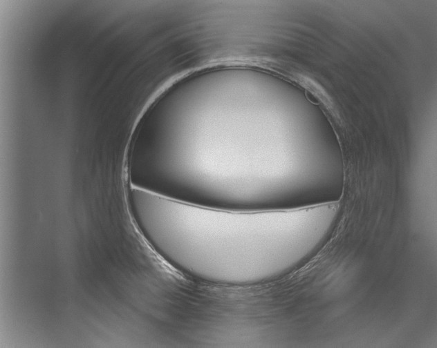 X0000076441428200610061013