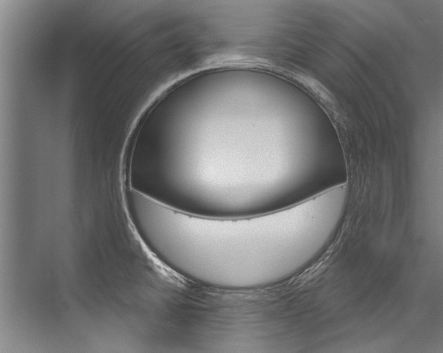X0000076441430200610061014