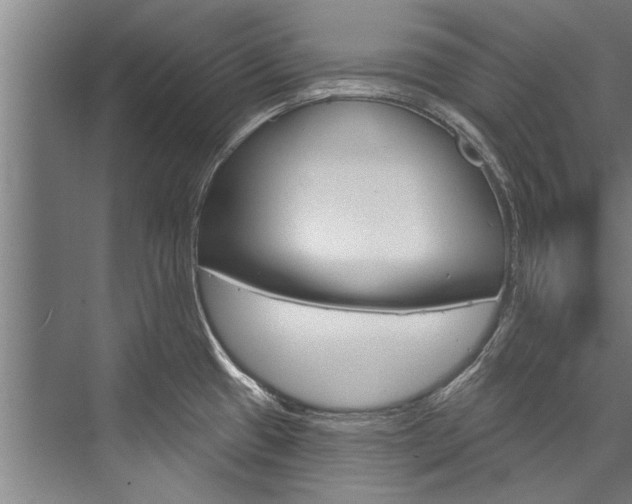 X0000076441433200610061014
