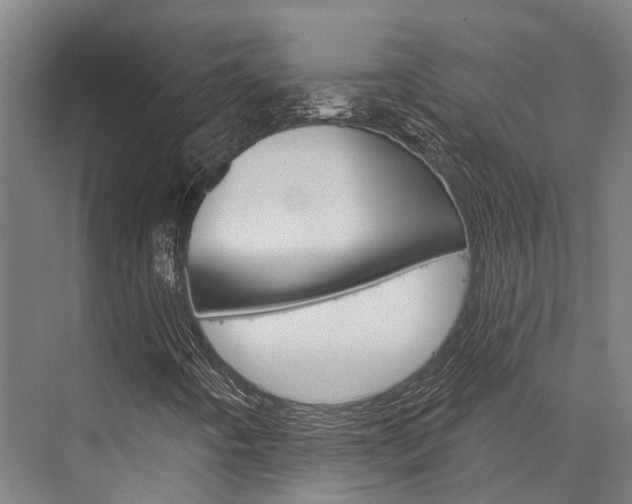 X0000076441442200610061013