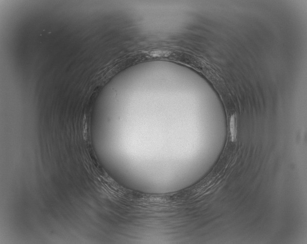 X0000076441443200610061013