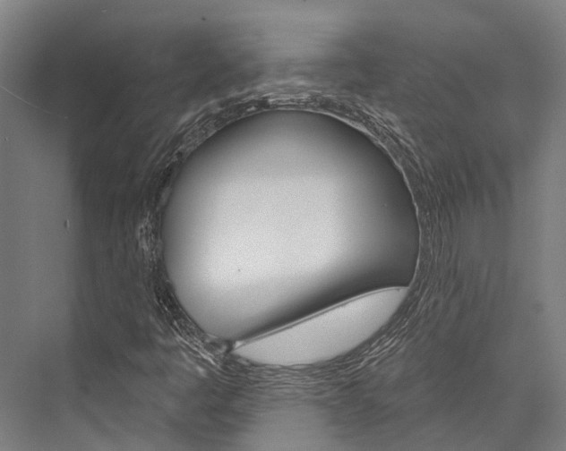 X0000076441445200610061013