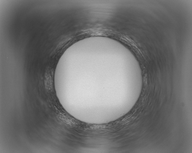 X0000076441446200610061013