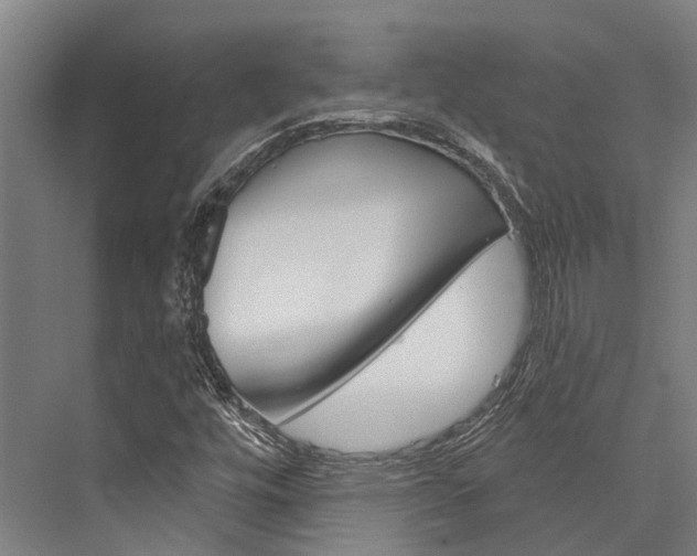 X0000076441448200610061013