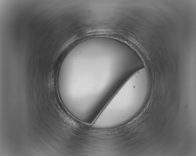 X0000076441450200610061013