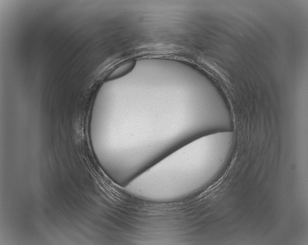 X0000076441451200610061013