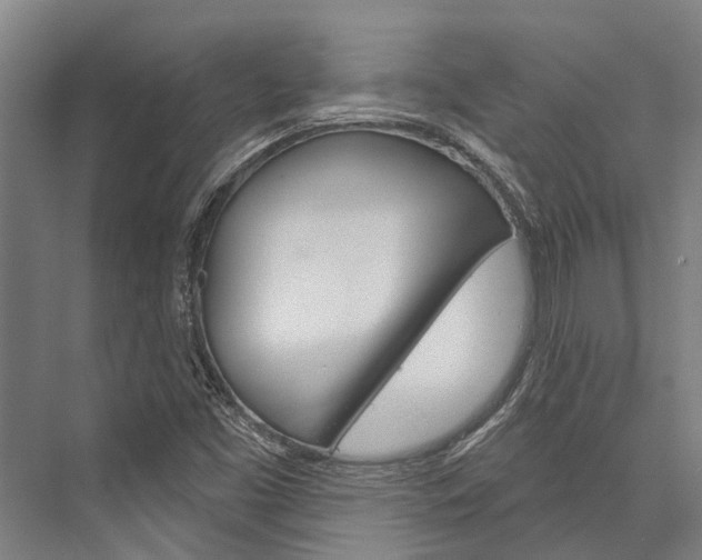 X0000076441453200610061013