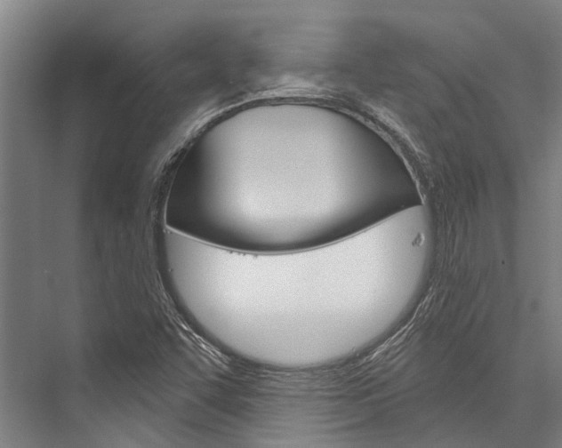 X0000076441455200610061013
