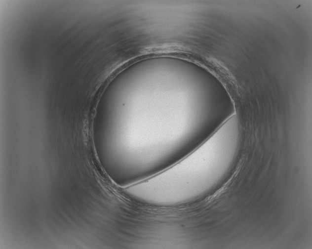 X0000076441457200610061013