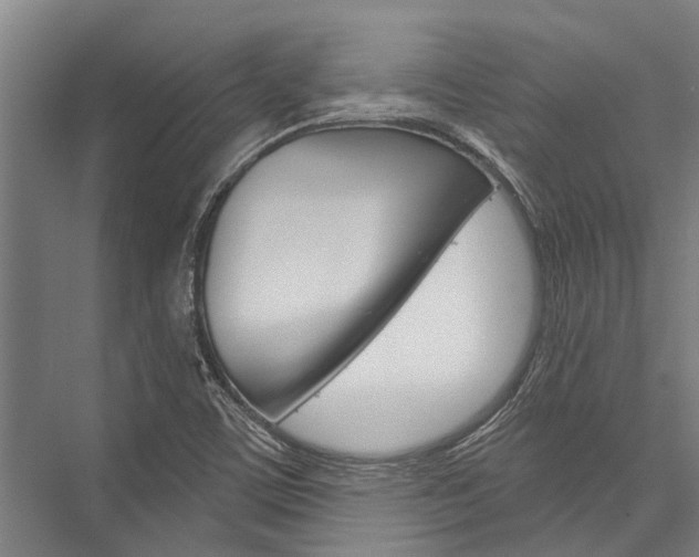 X0000076441459200610061013