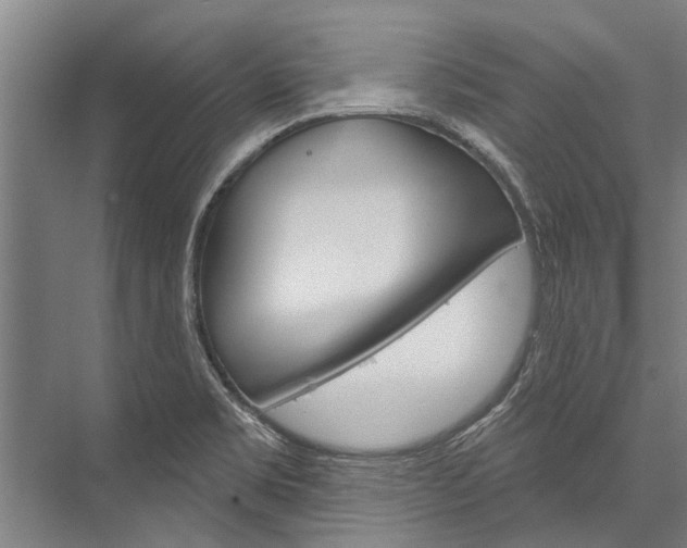 X0000076441469200610061012